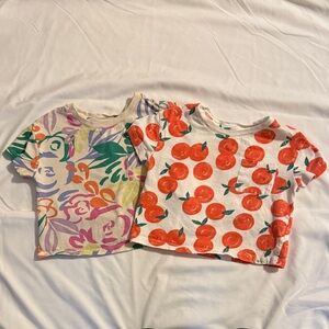 Colorful Kids Baby Gap T-Shirts with Fruit and Floral Prints -2T